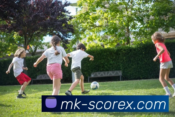 MK体育平台展示图