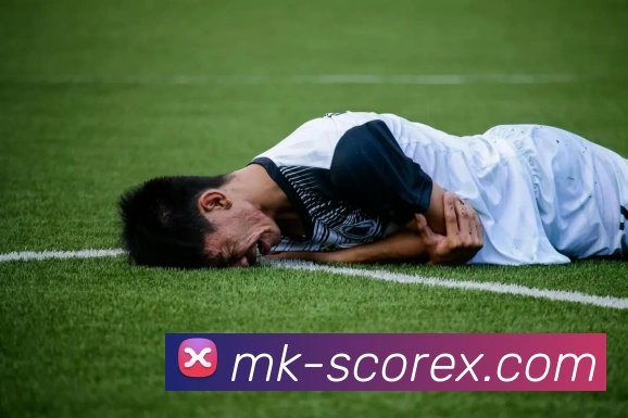 MK体育最新赛事动态全面解析与未来发展趋势揭秘